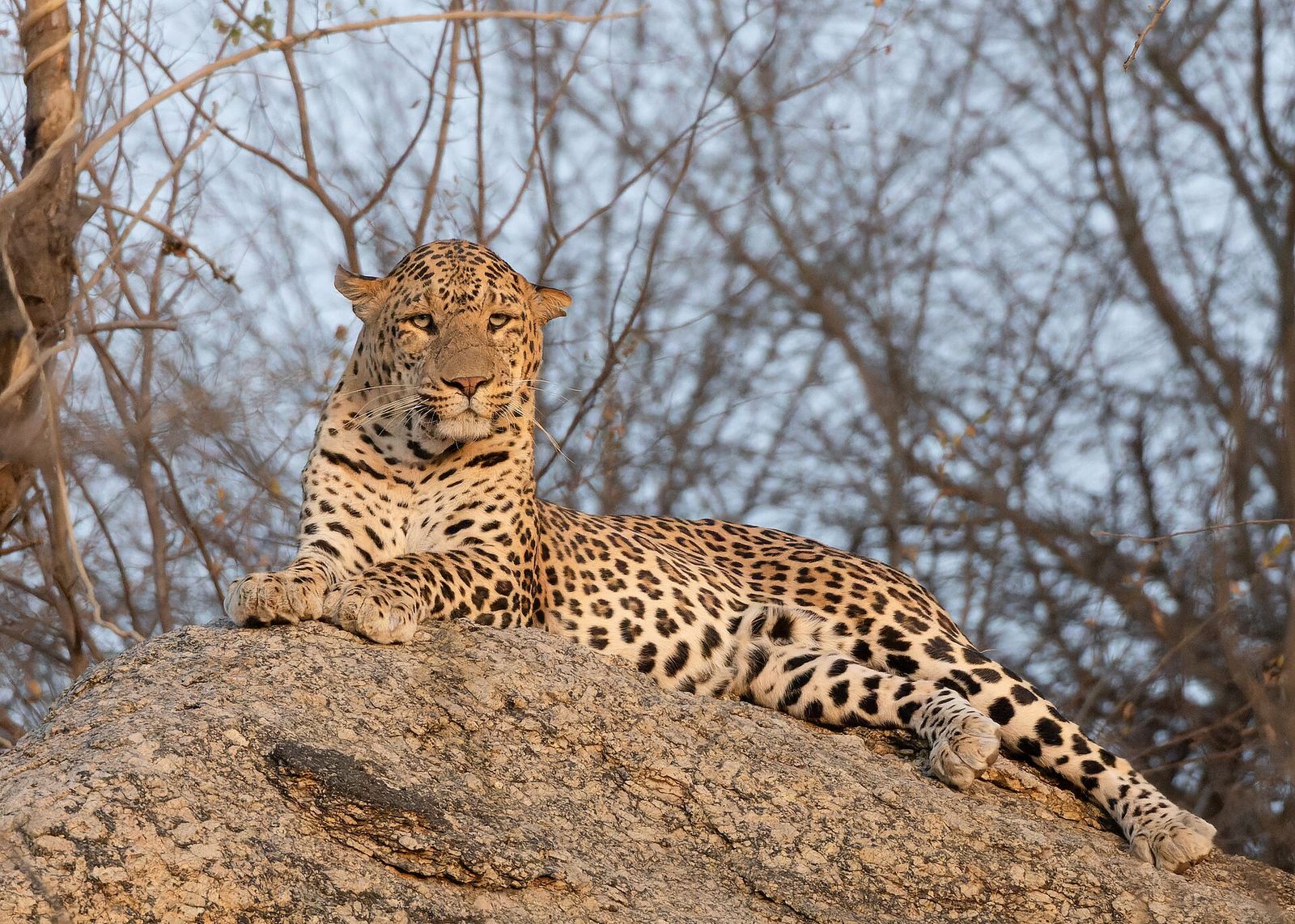 Jawai, Rajasthan