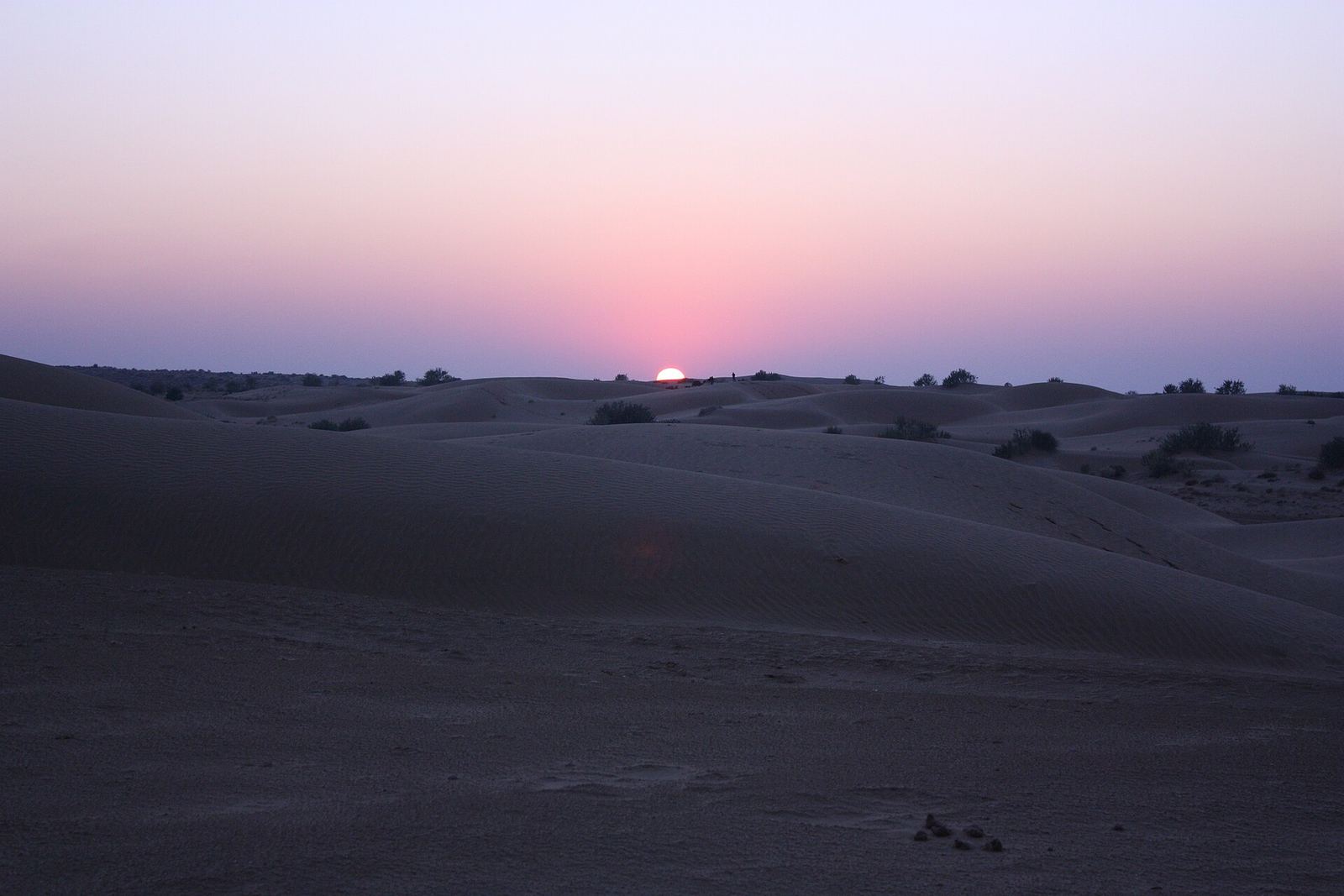 Sam Sand Dunes, Rajasthan
